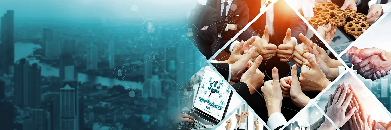 Management Team Banner