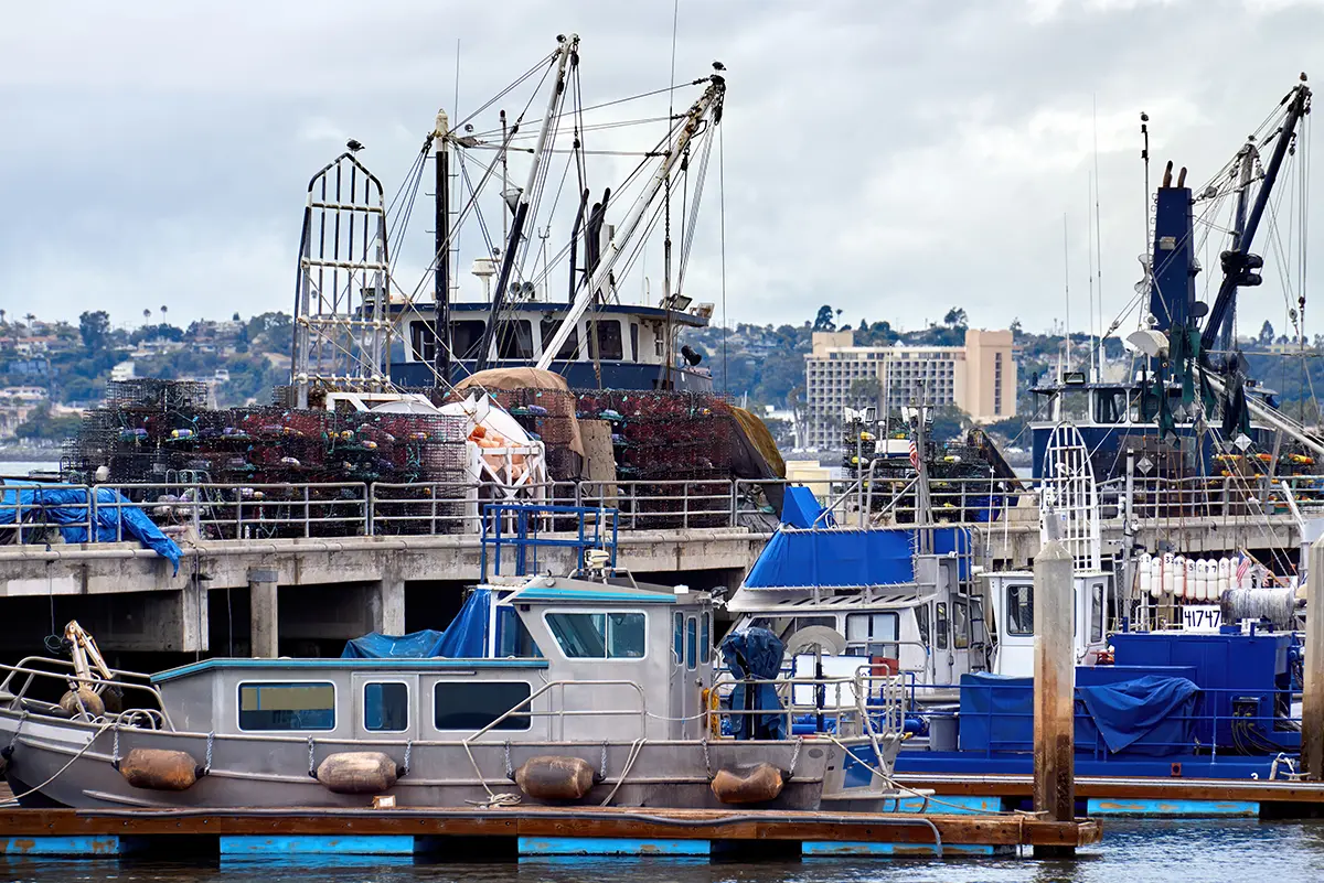 Industrial & Heavy Engineering - Ship